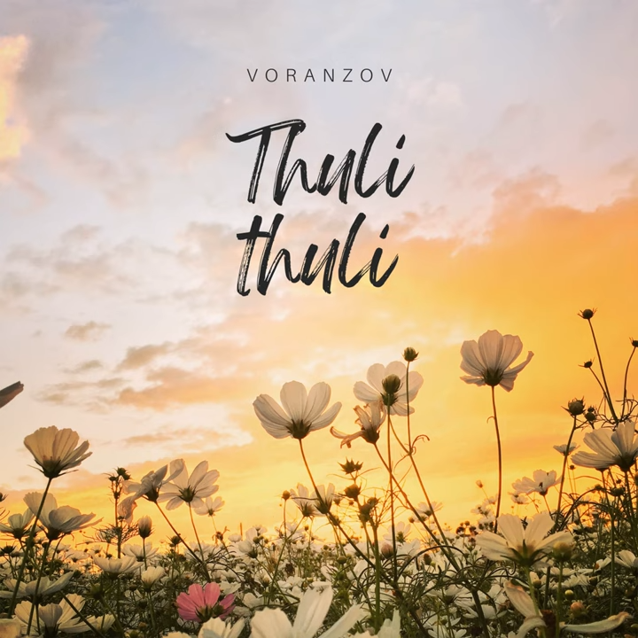 Album art for Thuli Thuli